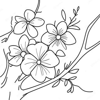 Puukkum Ckuraa Puukkll Vnnnnppttm 100677 39213