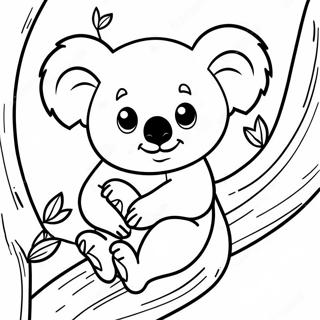 Koala வண்ணப்படங்கள்