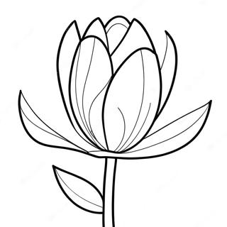 Orrrrai Maajesttik Ttuulip Vnnnnppttm 33887-7399